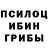 Псилоцибиновые грибы Magic Shrooms Gin Chludok